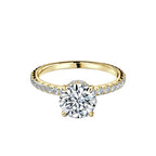 Round Hidden Halo Engagement Ring