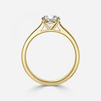 Round Brilliant Cut Solitaire Engagement Ring