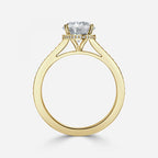 Elegant Round Cut Engagement Ring