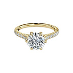 Round Brilliant Cut Micro Setting Diamond Ring