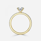 Round Cut Engagement Ring
