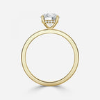 Round Cut Engagement Ring