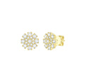 Diamond Cluster Earrings 
– 1.7 CTW