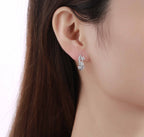 Hoop Earrings – 2 CTW