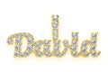 Custom Script Letter Diamond Pendant 14K Solid Gold - 0.50 CTW