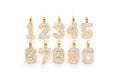 Medium Jersey Number Diamond Pendant 10k Solid Gold - 1.05 CTW